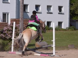 IMG_5604_web